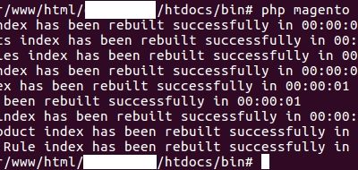 Index Magento 2 using command line or SSH